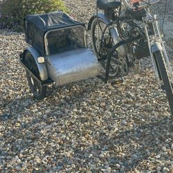 Schwinn Motorized Bicycle With Sidecar 