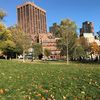 Duvia