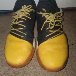 Adidas Harden Vol. 1 Black Basketball Shoes