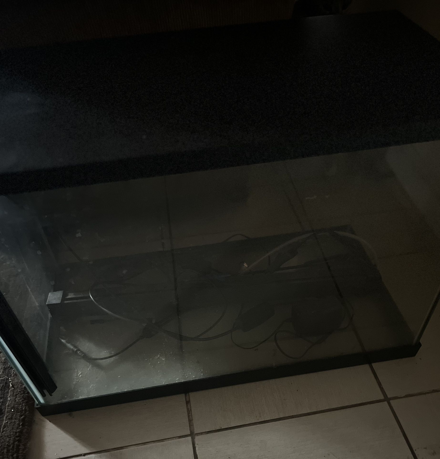 Fish Tank
