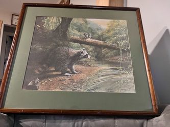 Nature Raccoon Print