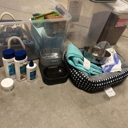 Dog accessories 
