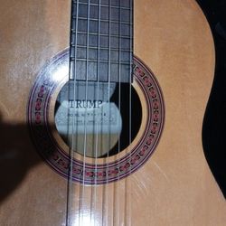 Trump Acoustic Guitar