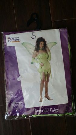 Gorgeous Fairy Costume