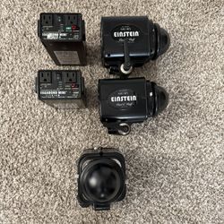 Paul C Buff Einstein Flashes 