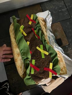 Halloween Dog costume