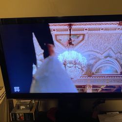 Samsung 45 Inch Flat Screen TV