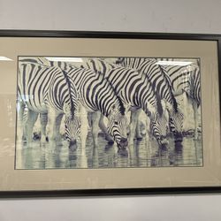 Large Framed Art  “The Dry Season” 1991 by wildlife photographer Thomas Mangelsen  63”L, 43”h