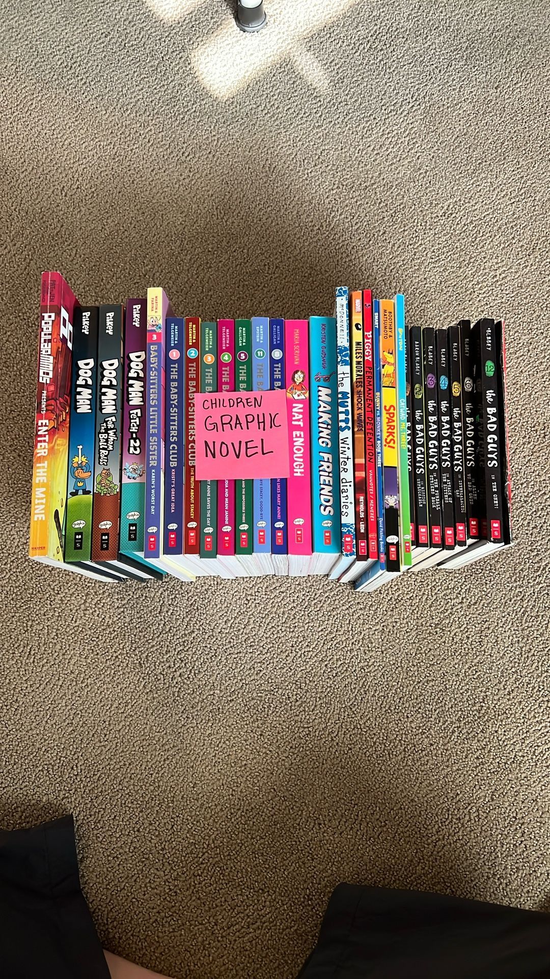Children Graphic Novel {29 Graphic Novels Total}