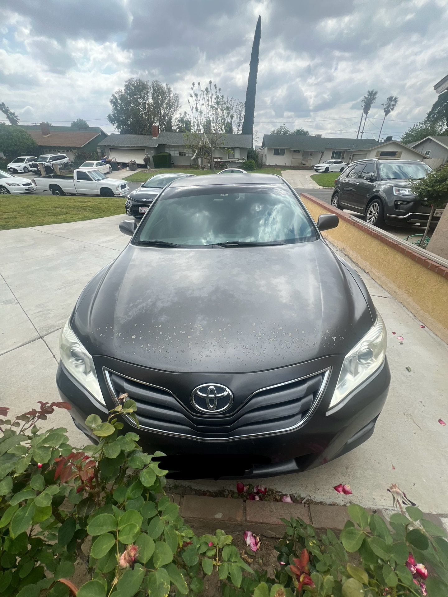2010 Toyota Camry