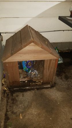 Small dog house best offer