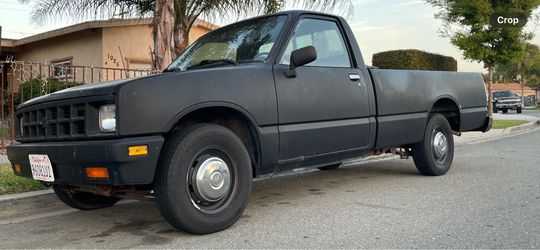 1985 Isuzu Pickup