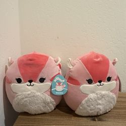 Squirrel 🐿️ Squishmallow