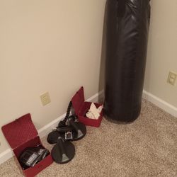 Everlast Heavy Punching Bag and Gloves