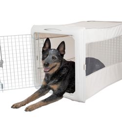 Dog Crate