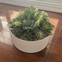 Faux Succulent Arrangement 