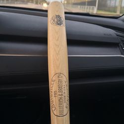 Astros Baseball Bat 