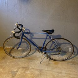 Classic Schwinn Sprint Bike