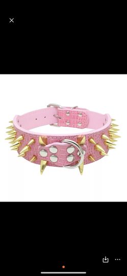Dog Collars