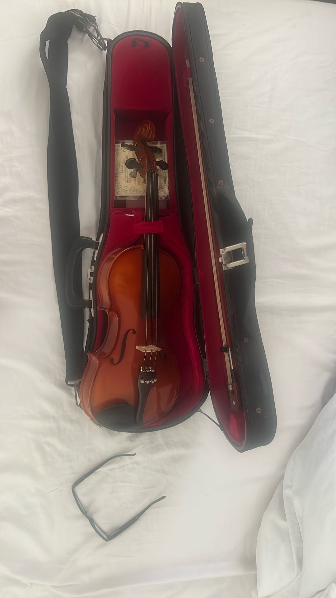 Violin
