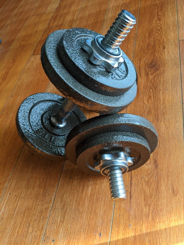 40 Lb Iron Adjustable Dumbbells