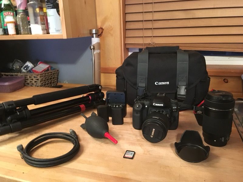 Canon EOS 80D DSLR Camera 2 Lens Bundle