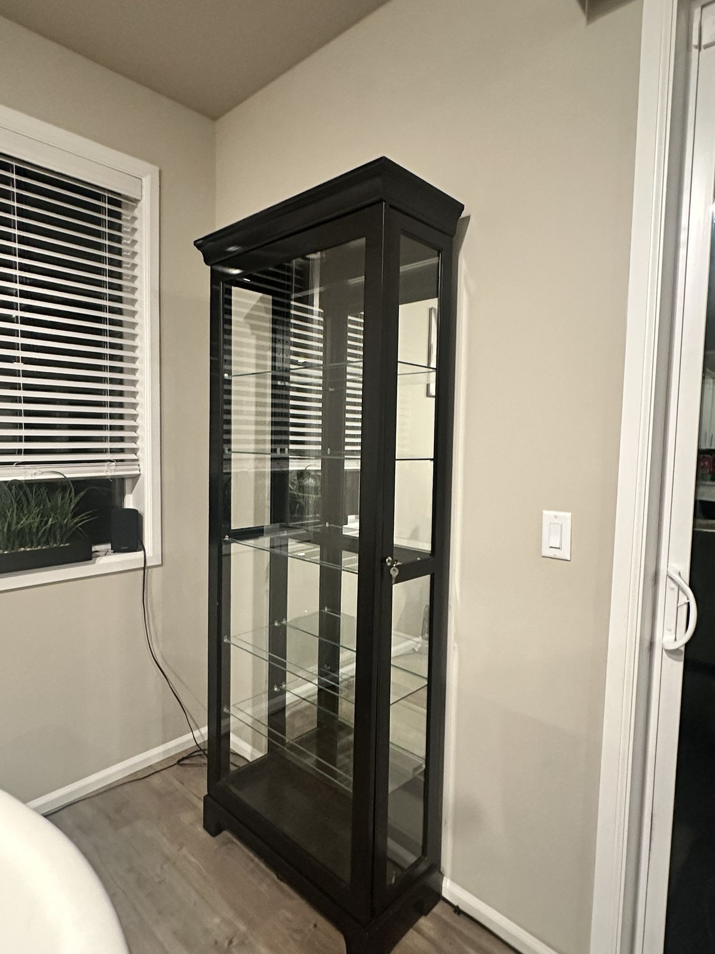 Need To Get Rid Off ASAP Tall Glass Display/Curio Cabinet
