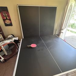 Ping Pong Table 
