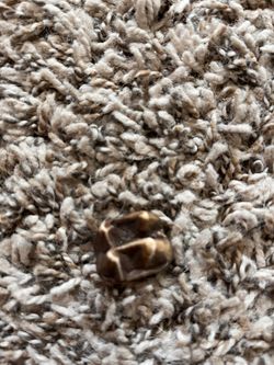 Fossil tapir Tooth 