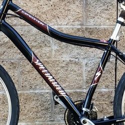 Specialized expedition mountain Bike