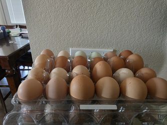 Eggs