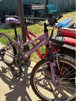 Free Bike