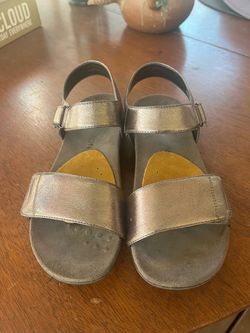 Vionic Size 9 Metallic Two-Strap Sandals with Ankle Buckle
