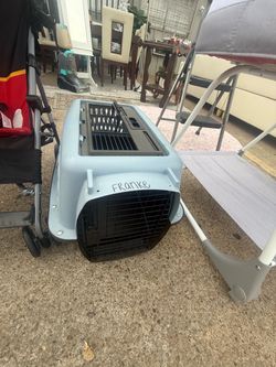 Dog case 20