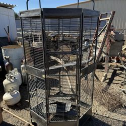 Bird Cage 