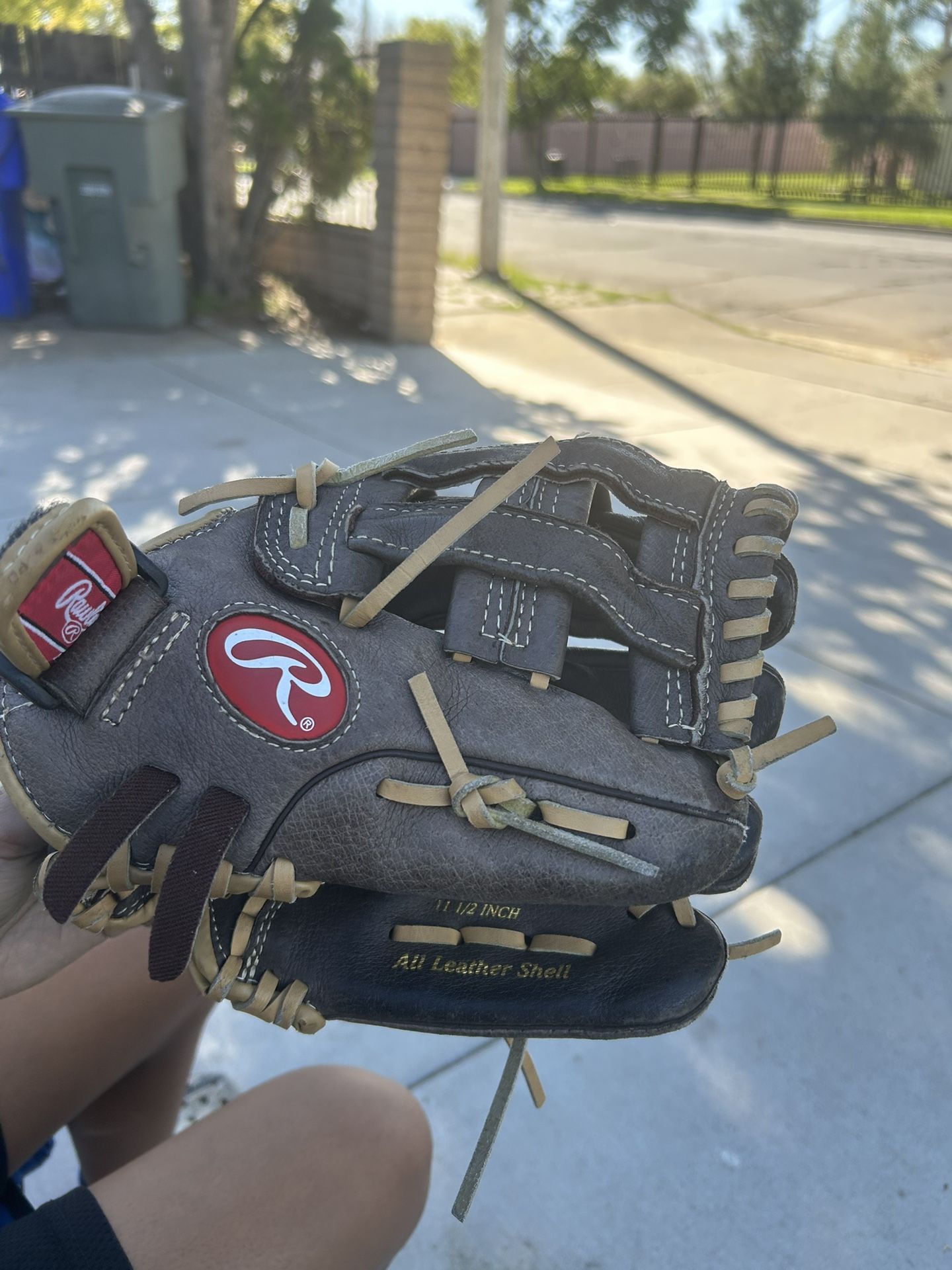 Baseball Glive 11 1/2