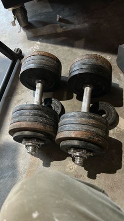 55lb dumbbell set
