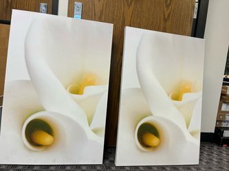Calla Lily Art