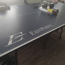 Ping Pong Table 