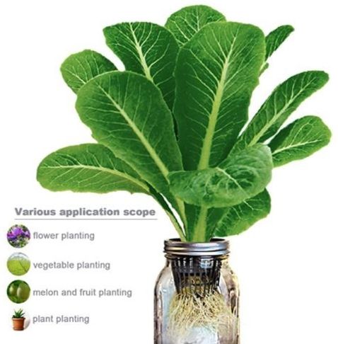 Ready for Spring?? Nursery Pots to Start Your Garden the Right Way!