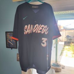 Mens Padres City Connect XL/L