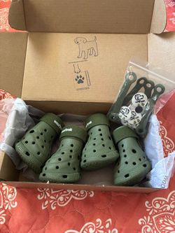 Dogs shoes