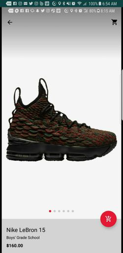 Lebron Limited Editon Size 6 New W/O Box