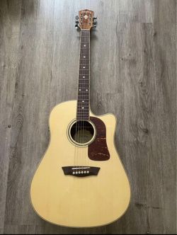 Washburn Guitar & Case