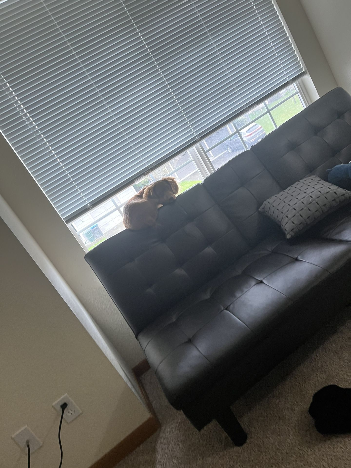 Black Leather Futon/Couch