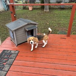 Outdoor Small Dog House -$75