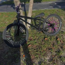 Hiland purple and black