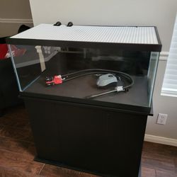 40 gallon aquarium and filter