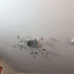 Ceiling Lighting