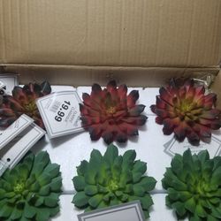 6 Michael's Succulents with vase. NO REAL . $120 VALUE .$50 ALL.